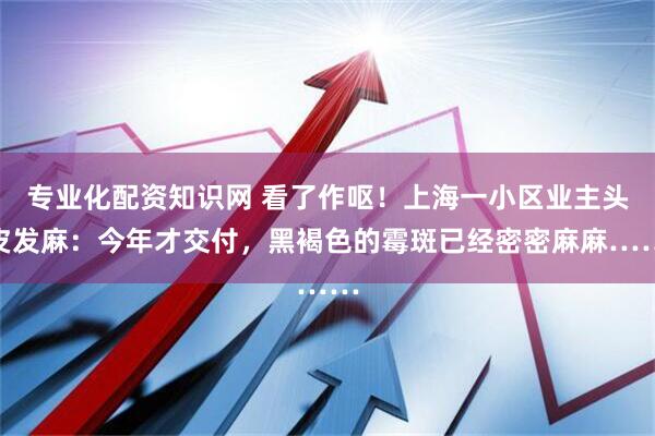 专业化配资知识网 看了作呕！上海一小区业主头皮发麻：今年才交付，黑褐色的霉斑已经密密麻麻……